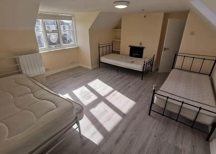 Проживание в семье Palm Дублин